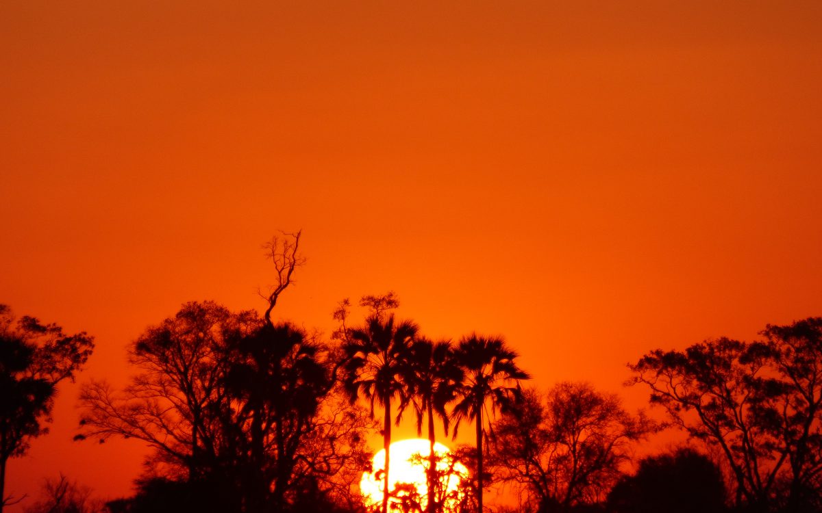 Delta de l’Okavango