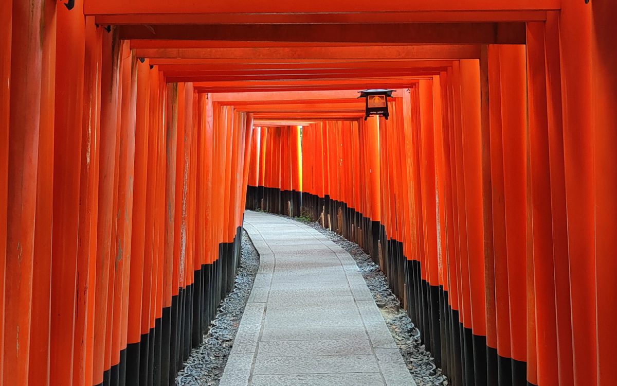 Les toriis du Fushimi Inari Taisha