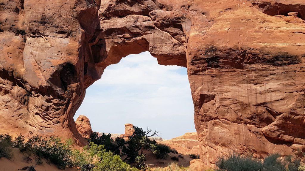 Pine Tree Arch