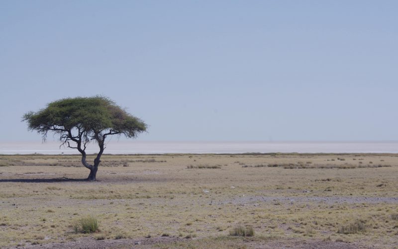 Etosha National Park