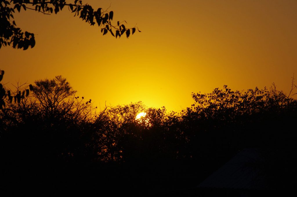 Coucher de soleil sur Etosha