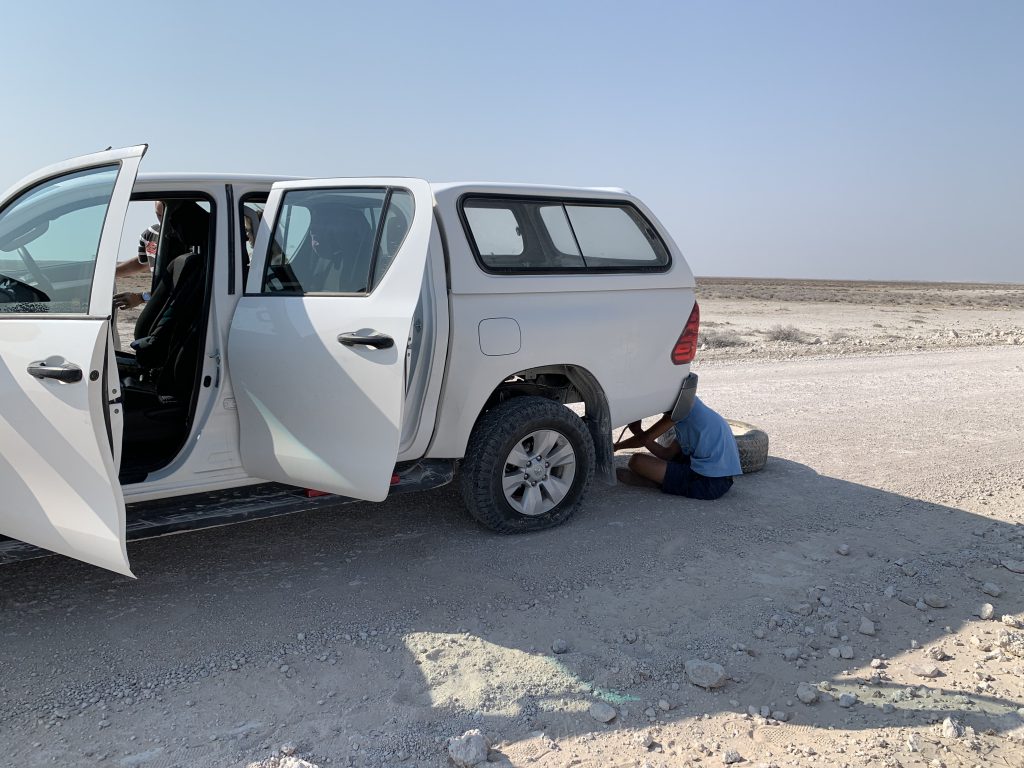 Crevaison dans le parc d'Etosha