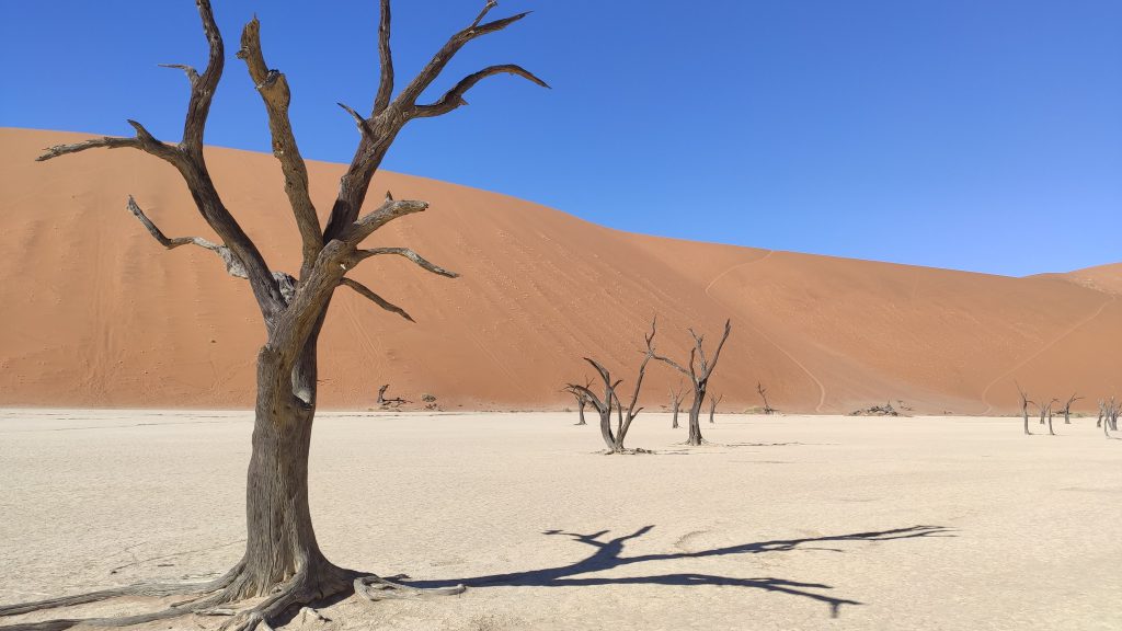 Dead Vlei