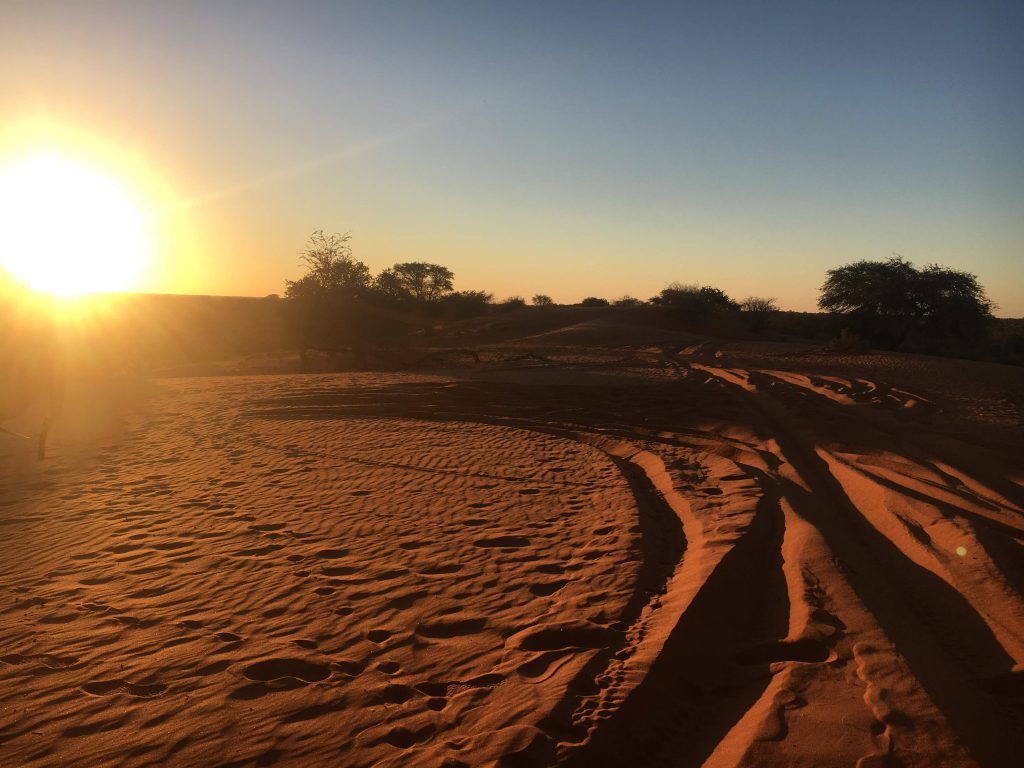 Coucher de soleil sur le Kalahari