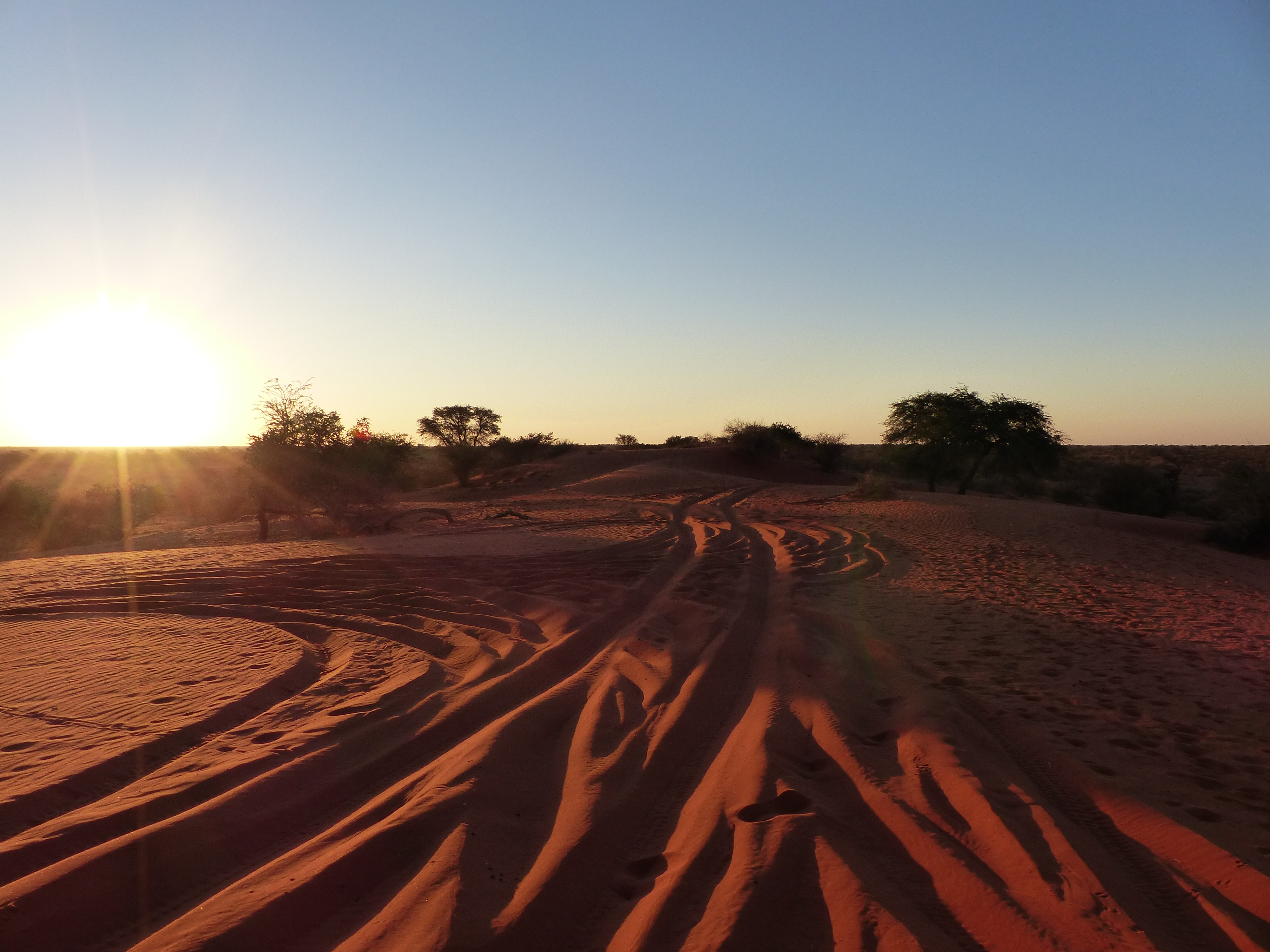 Désert du Kalahari