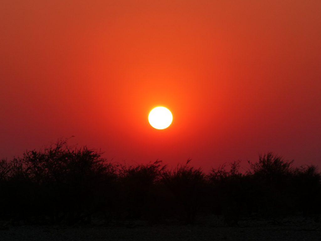 Coucher de soleil sur Etosha