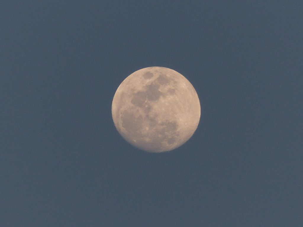 lever de lune sur Etosha