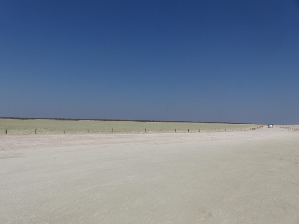 Le Pan d'Etosha National Park