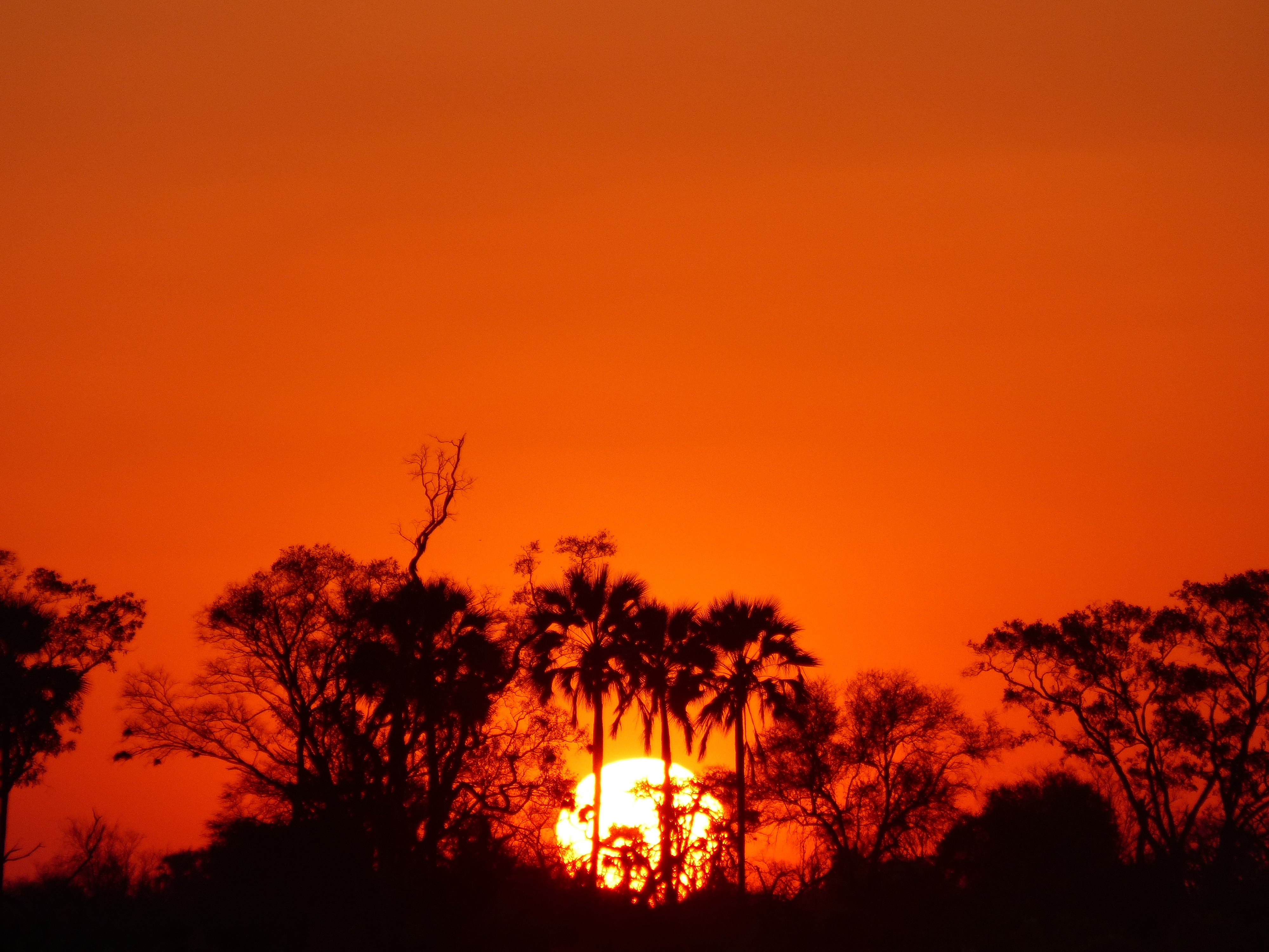 Afrique Australe Afrique Australe