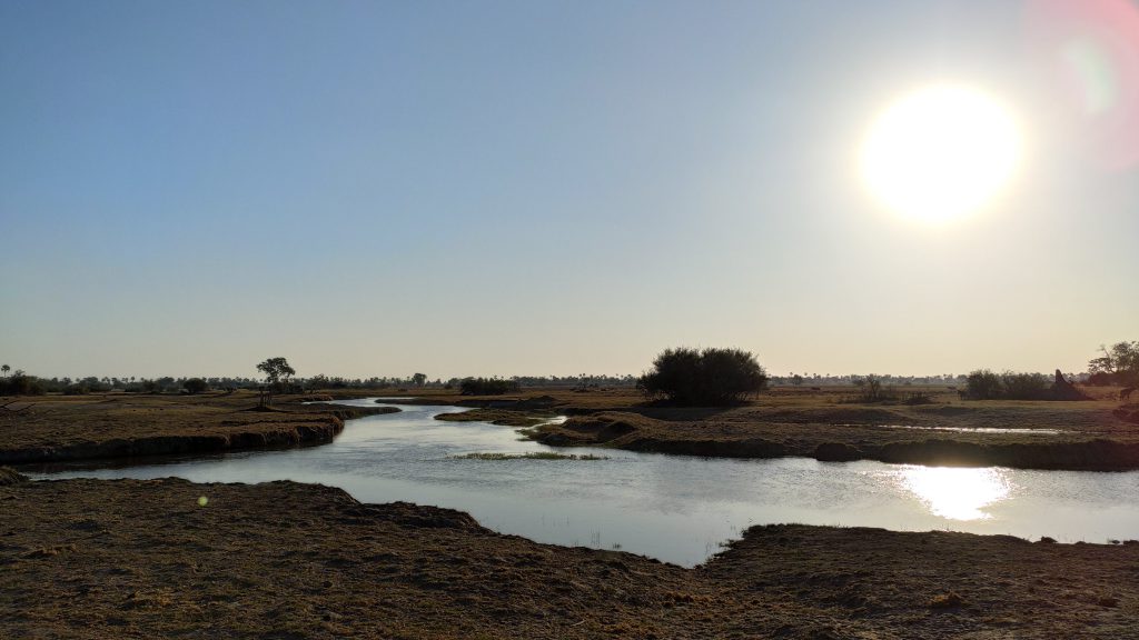 delta de l'Okavango