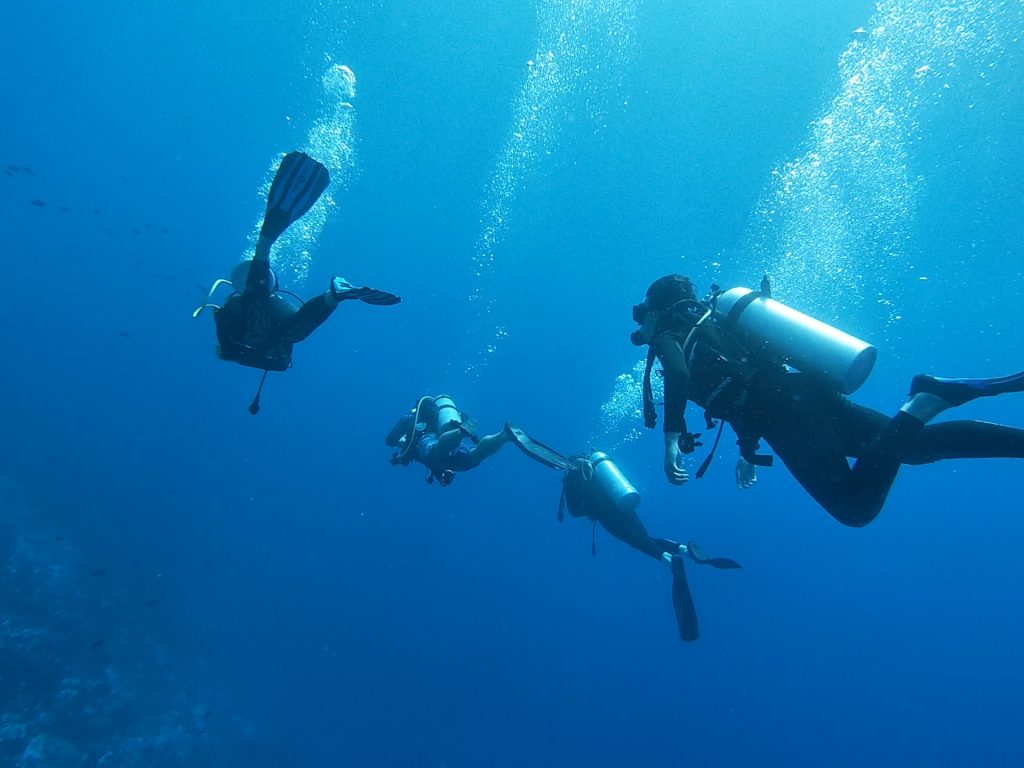 Plongée bouteille à Rangiroa