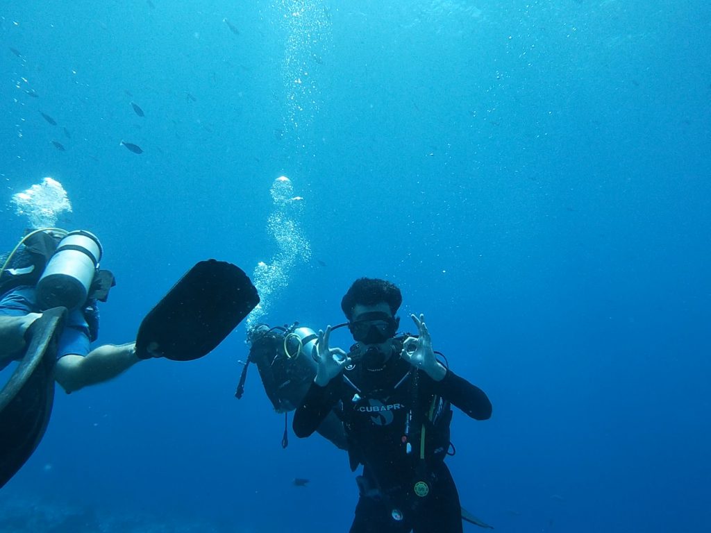 Plongée bouteille à Rangiroa