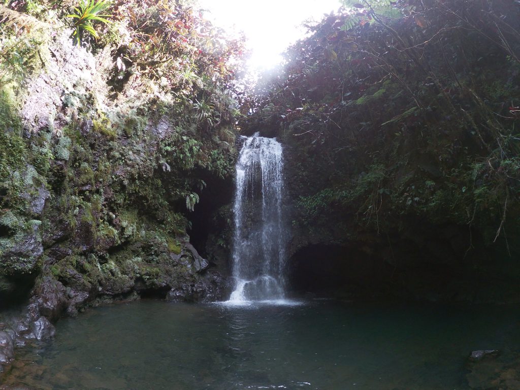 L'entrée du lavatube