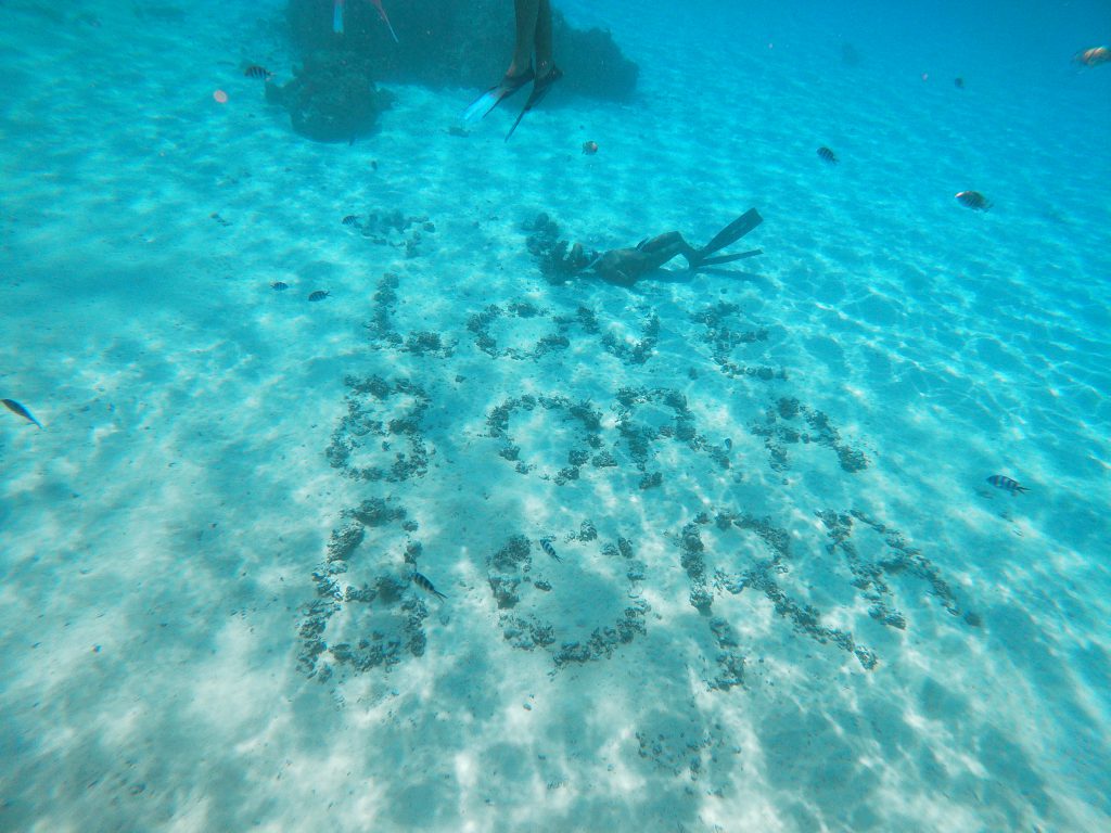 L'aquarium de Bora Bora