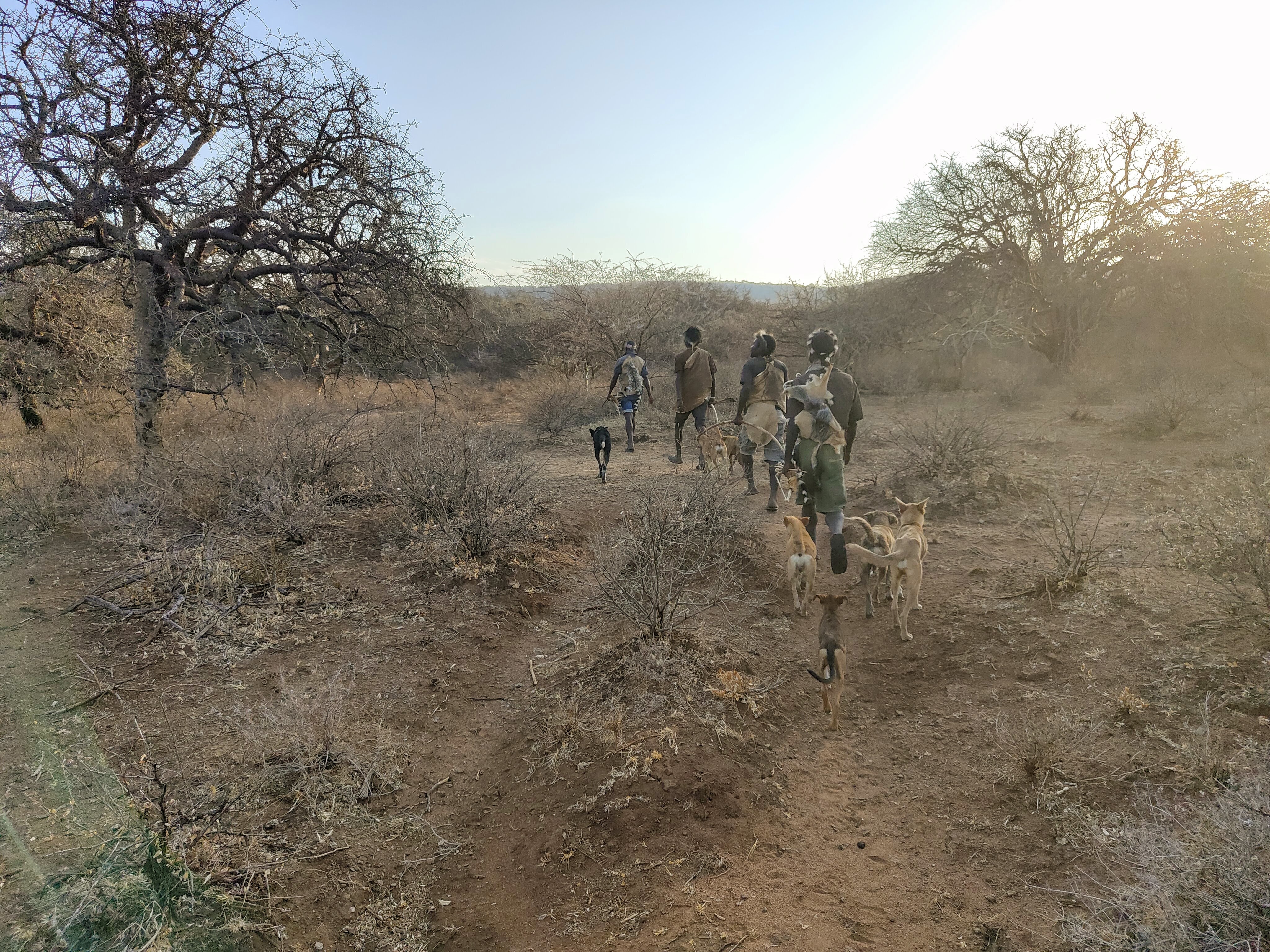 Chasse avec les Hadzabe et rencontre des Datoga Chasseurs Hadzabe
