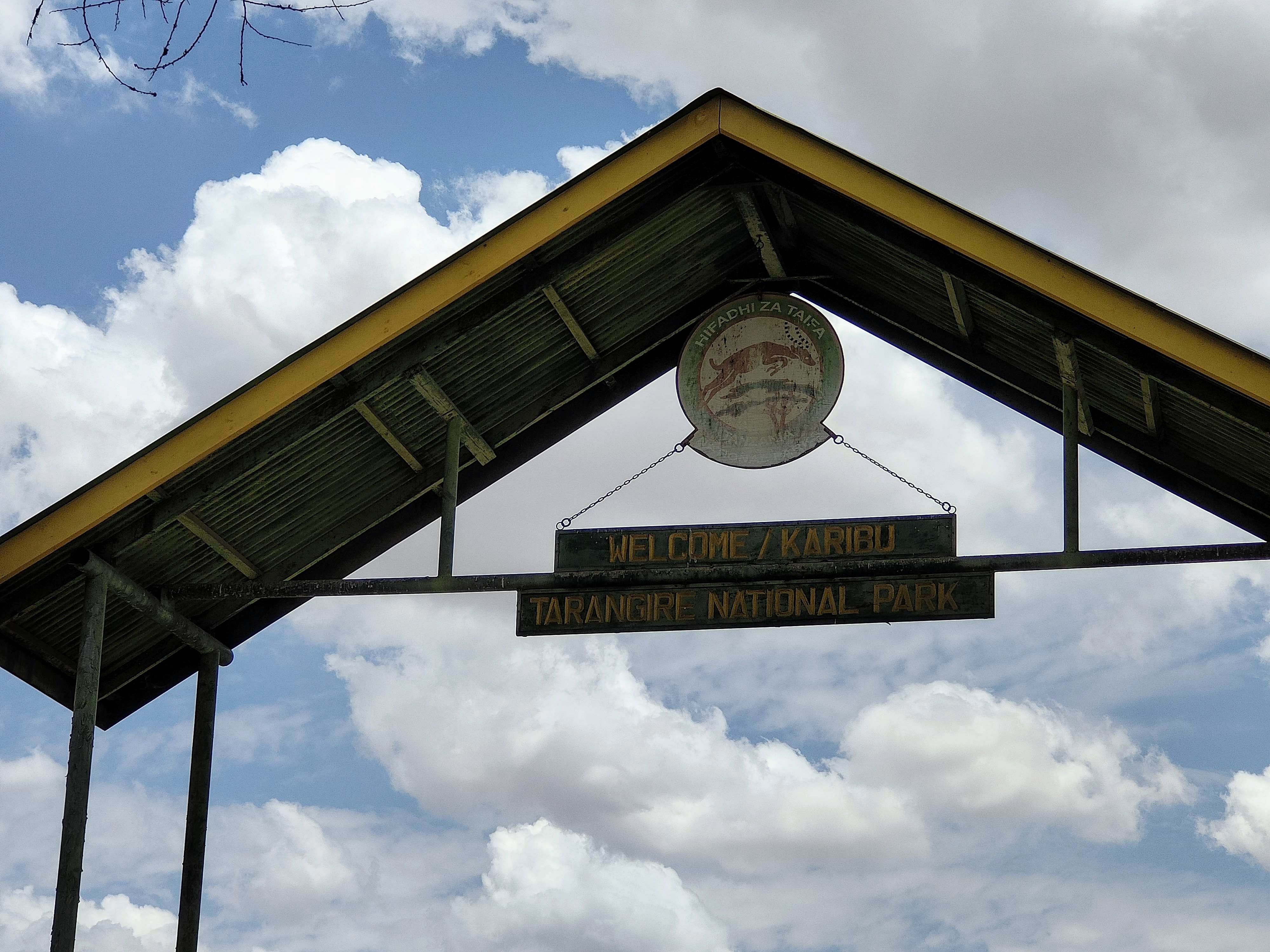 Parc du Tarangire et retour Parc du Tarangire