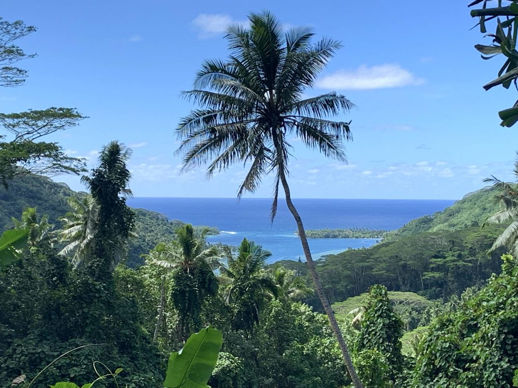 Belvédère à Huahine