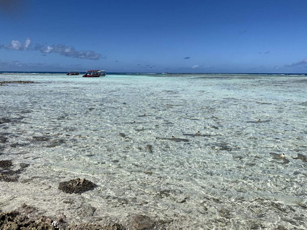 Arrivée au lagon bleu de Rangiroa