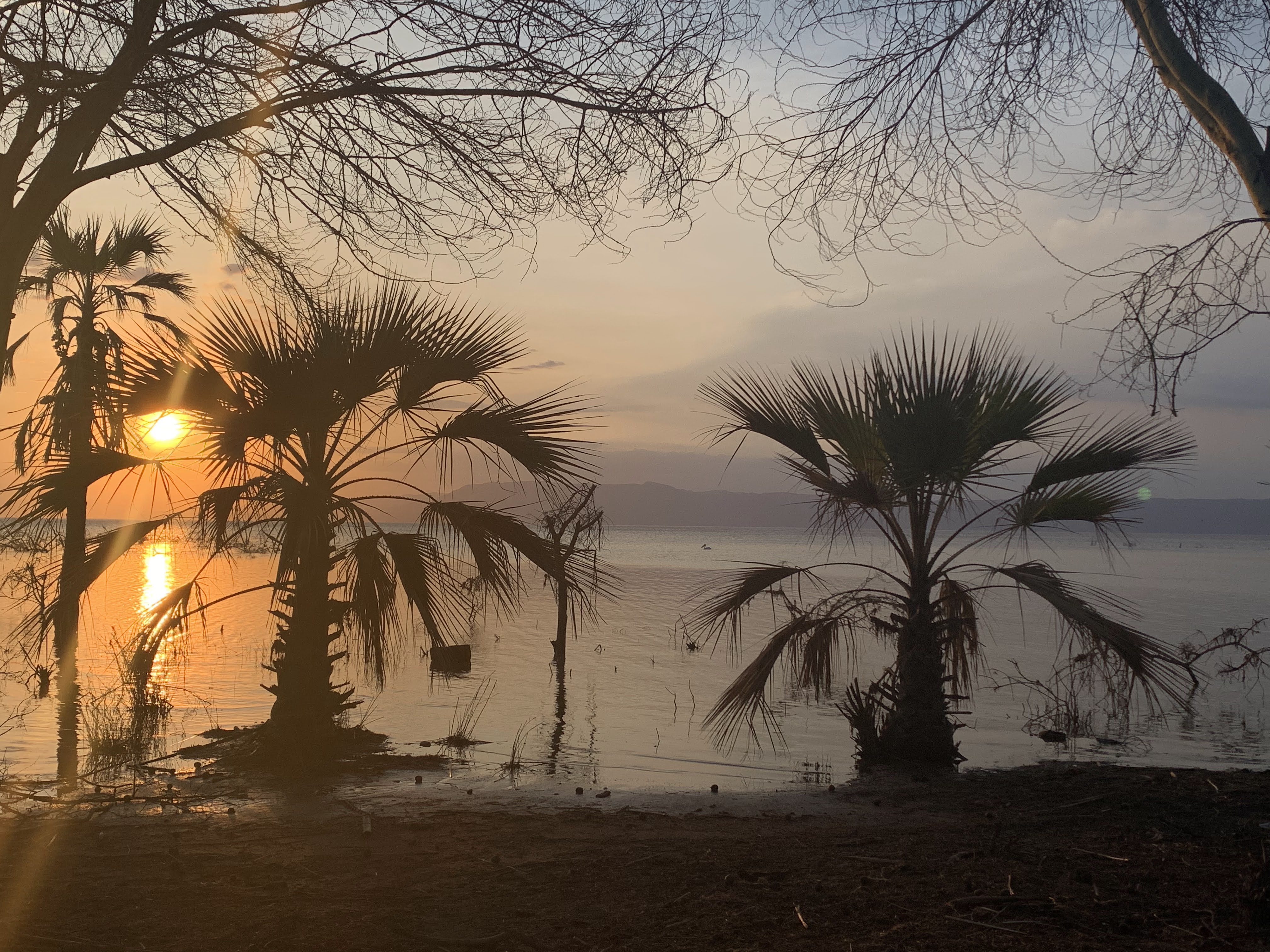 Lac Eyasi