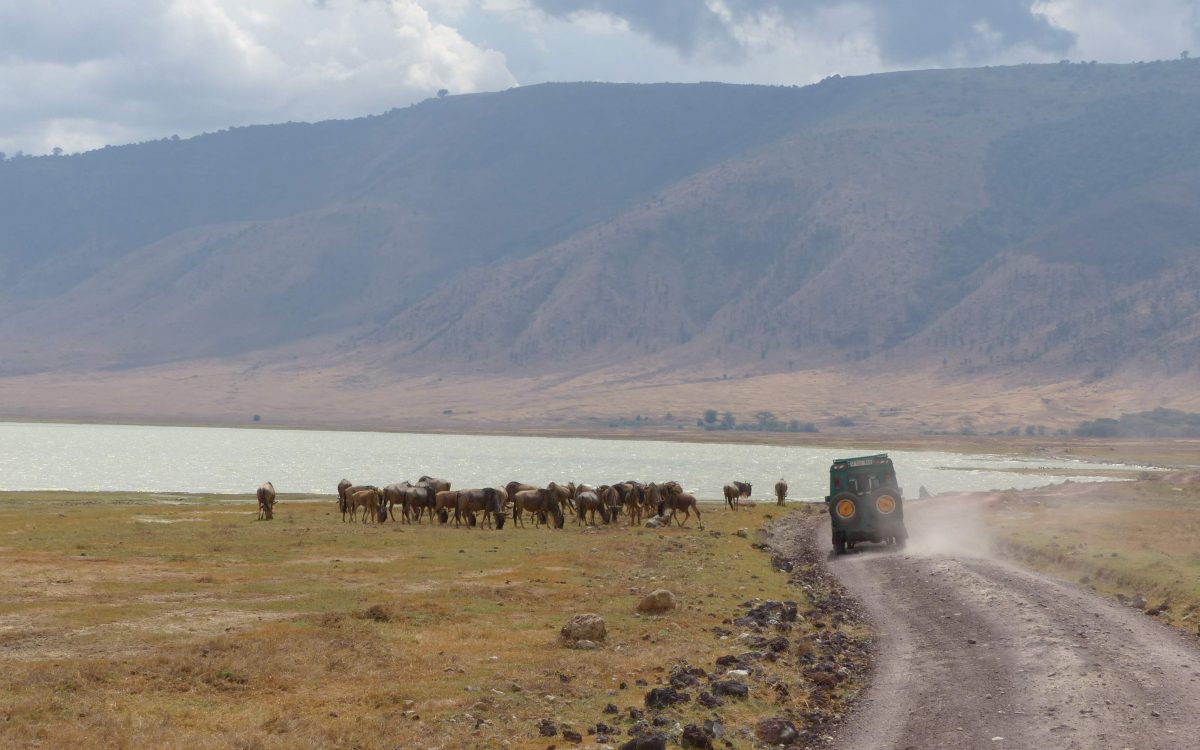 Cratère de Ngorongoro