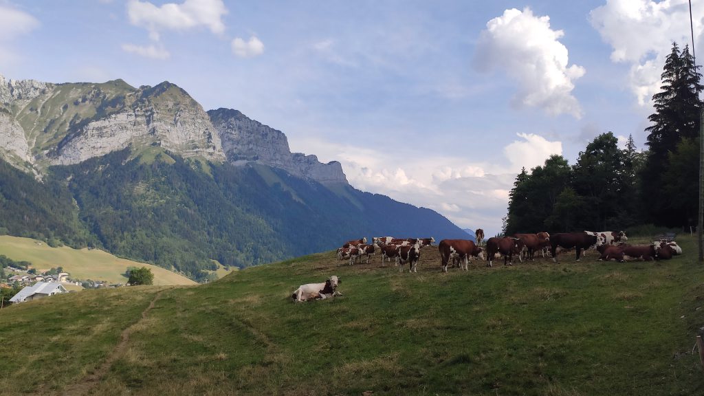 col de la Forclaz