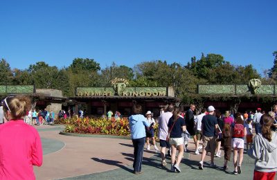 Animal Kingdom