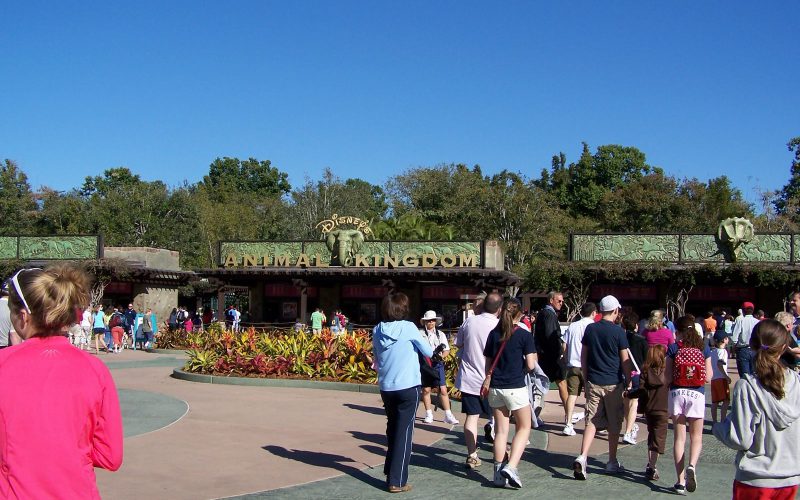 Animal Kingdom