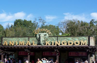 Animal Kingdom