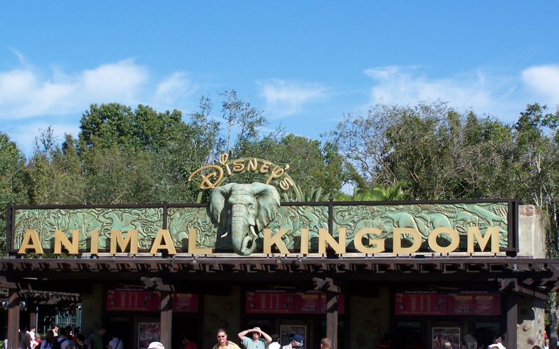 Animal Kingdom