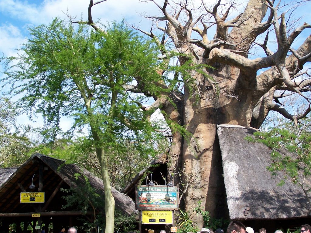 Kilimanjaro Safaris