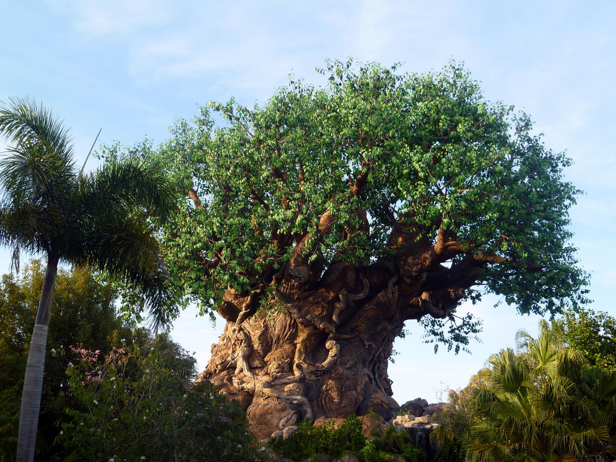 Animal Kingdom