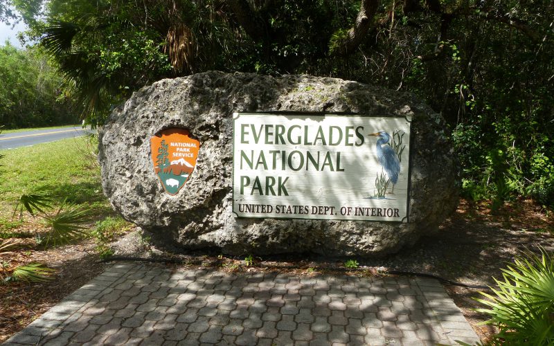 Everglades