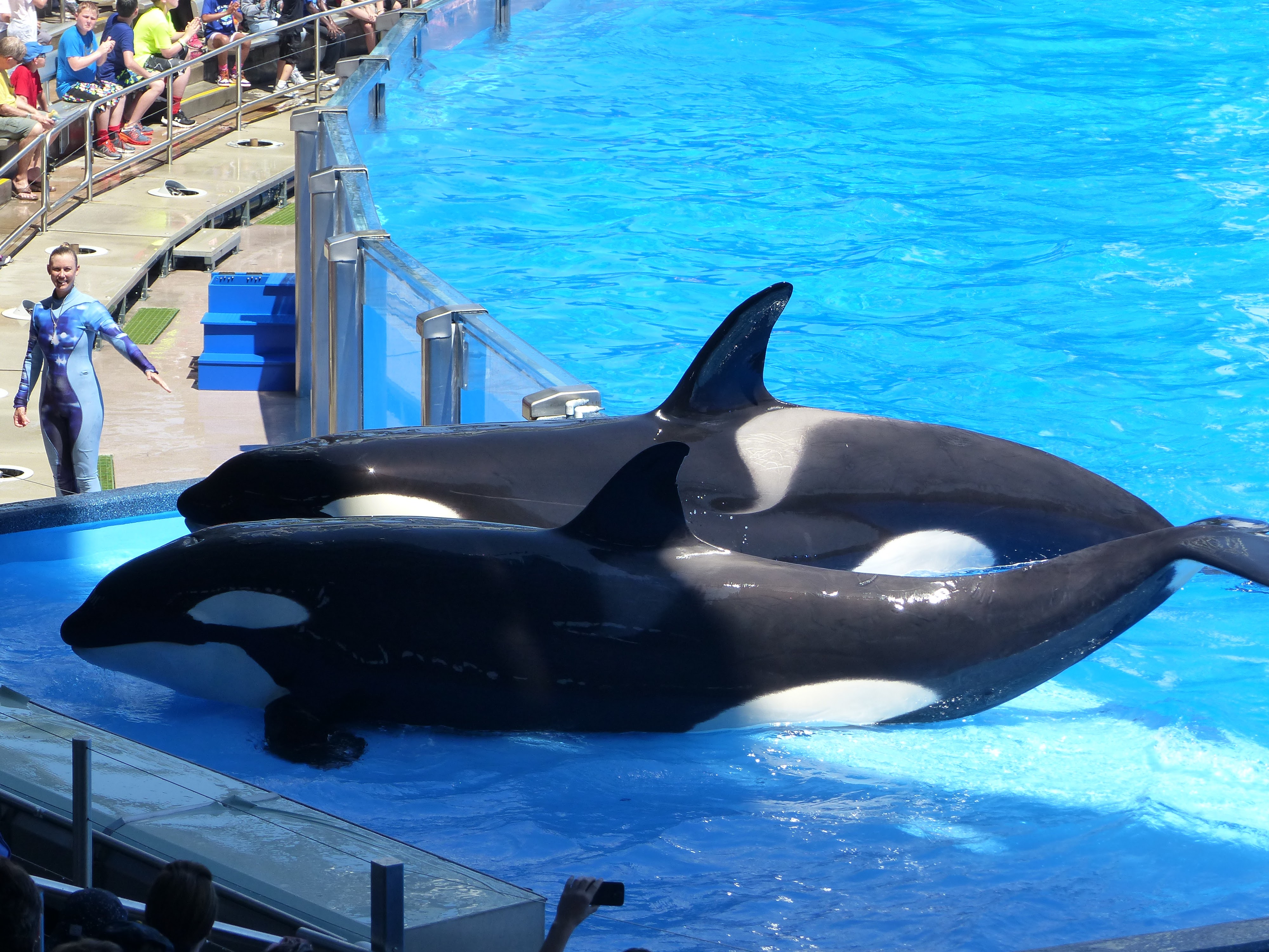 Seaworld