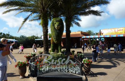 Busch Gardens