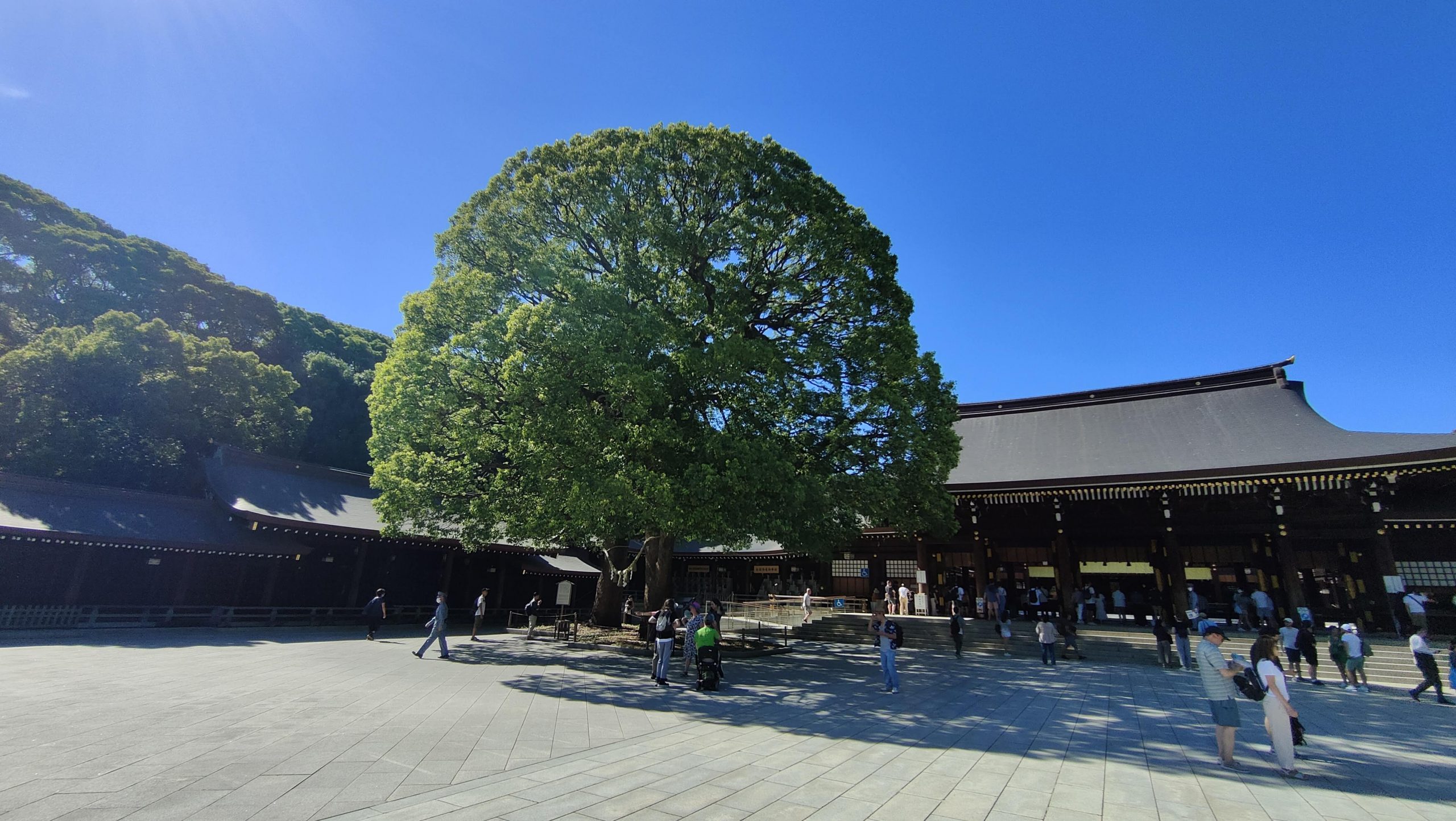 Sanctuaire Meiji-jingu