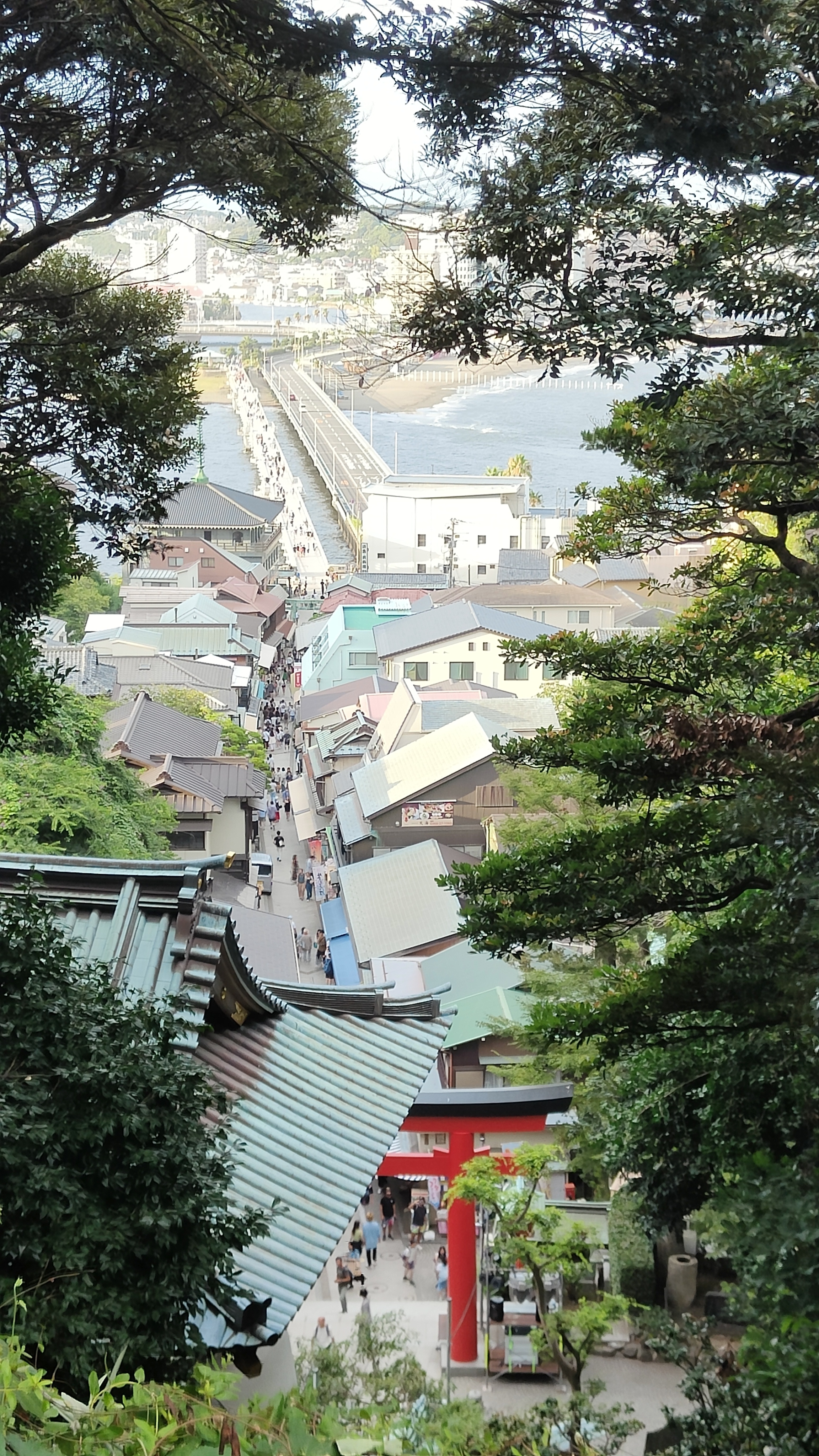 Vue sur Enoshima