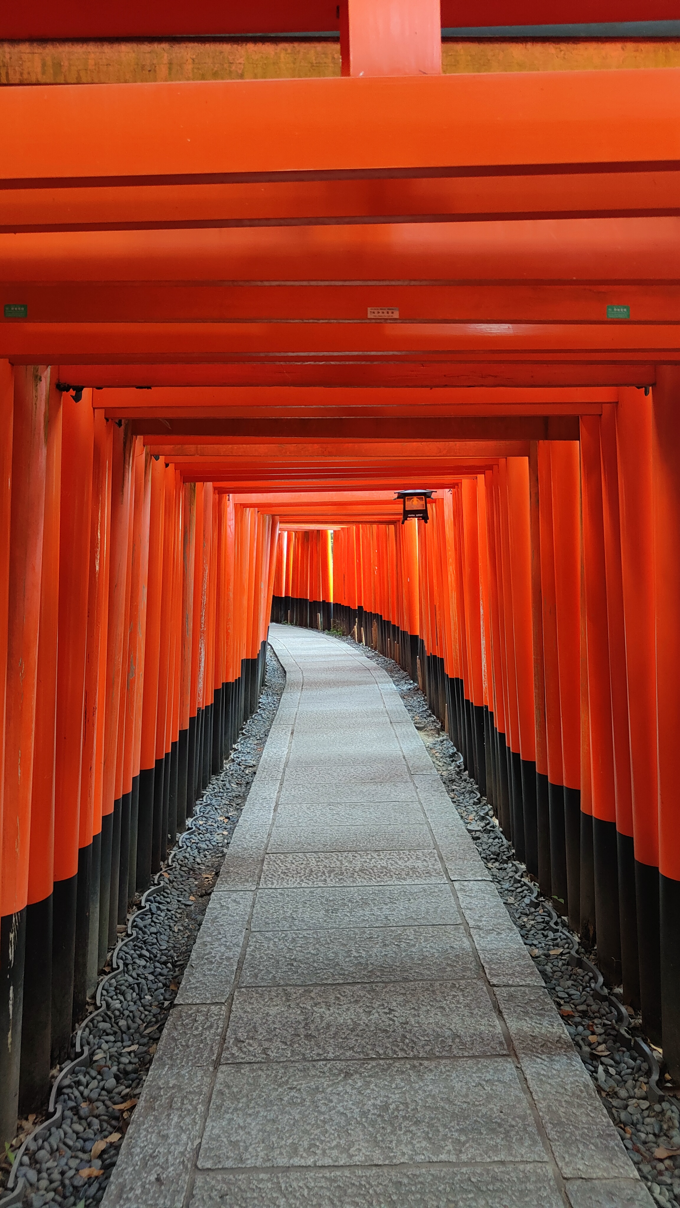 Quatre jours à Kyoto Les toriis du Fushimi Inari Taisha