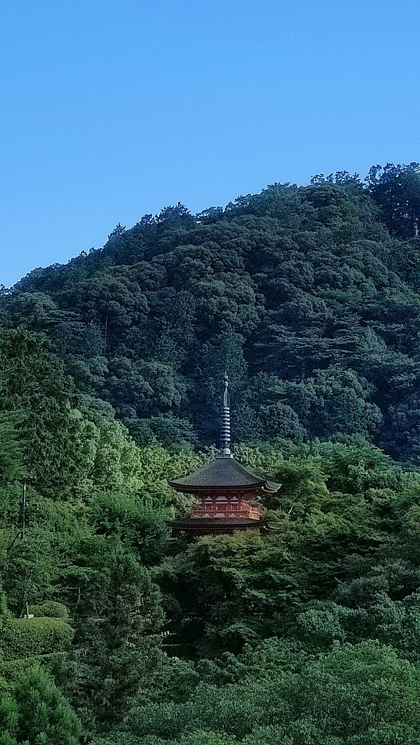 Temple Kiyomizu-dera