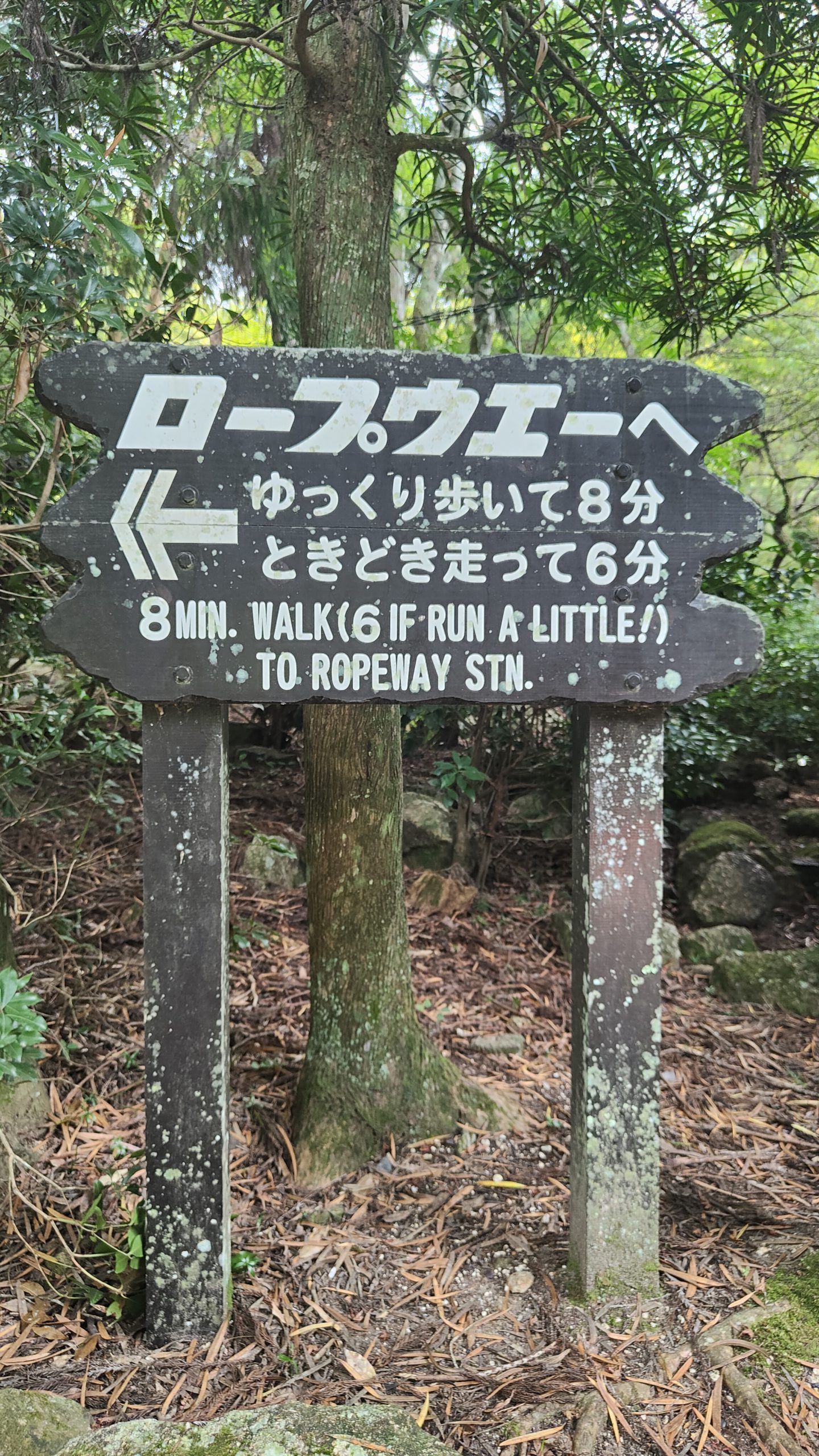 Vers le téléphérique du Mont Misen