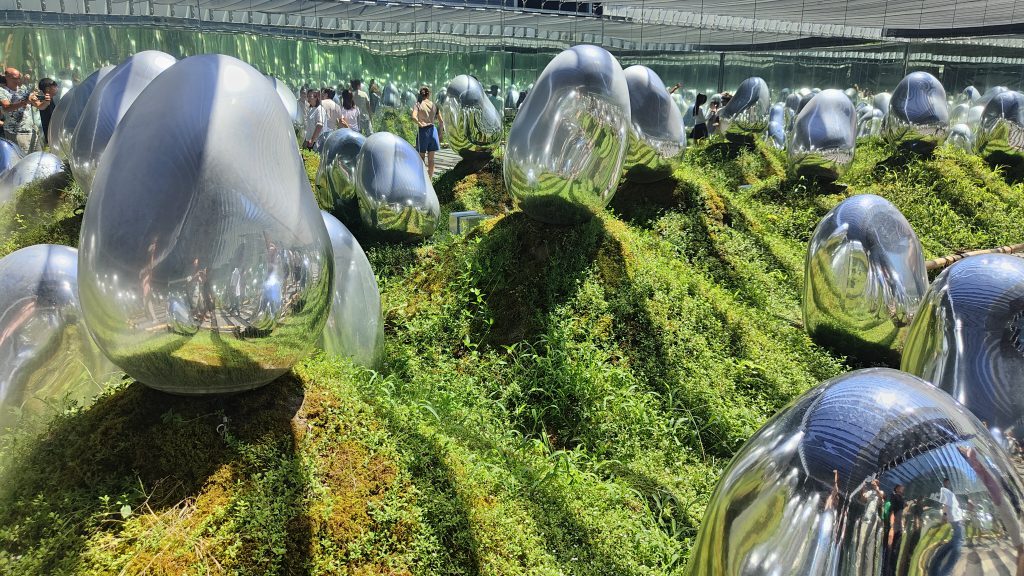 TeamLab Planets, Moss Garden of Resonating Microcosms