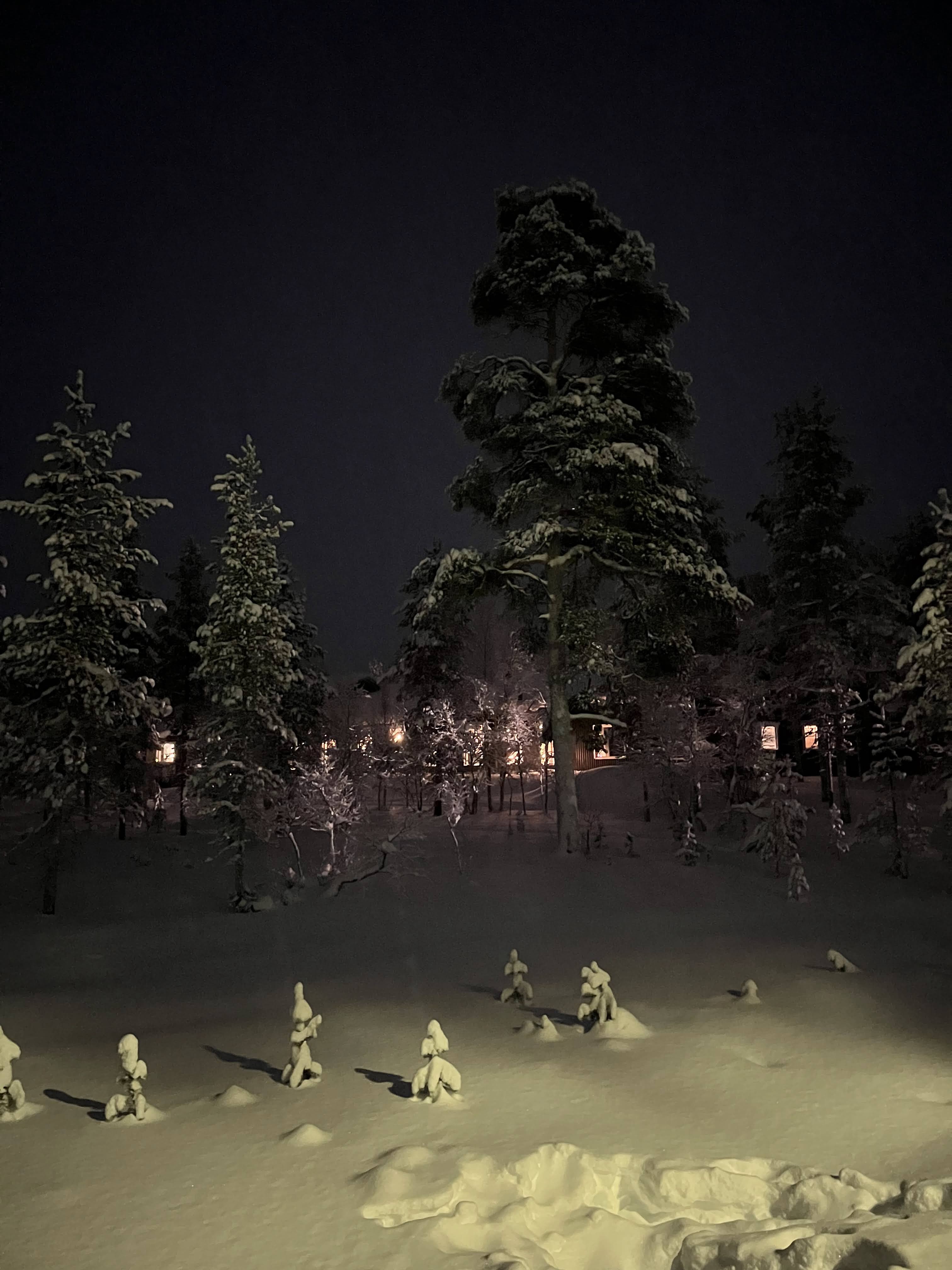 Balade au Wilderness Hotel Muotka