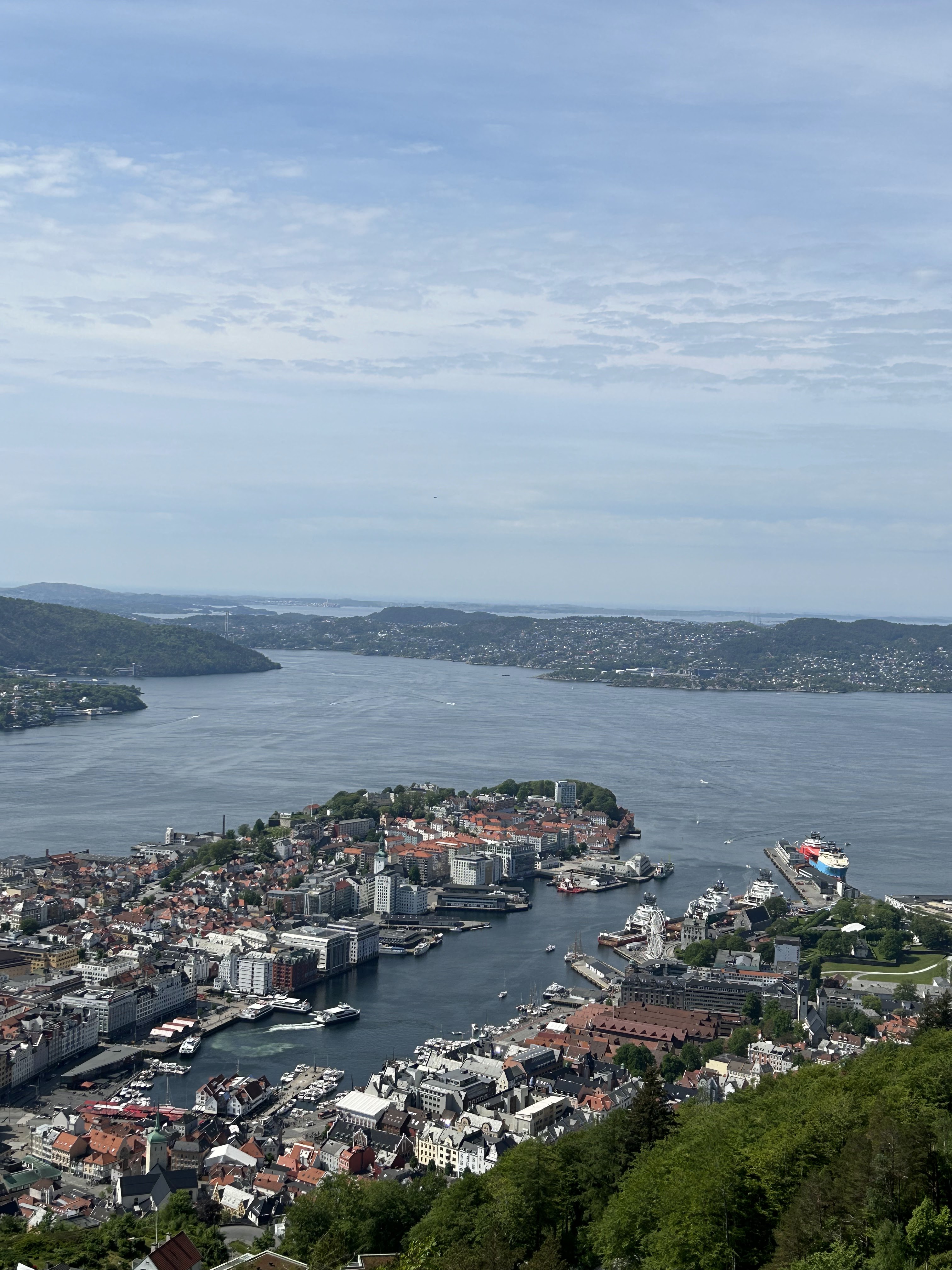 Mont Fløyen