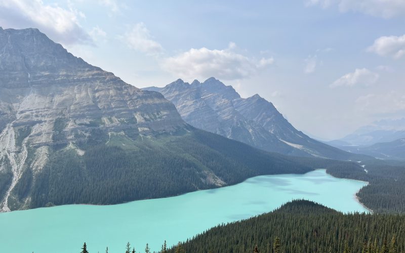 Lac Peyto