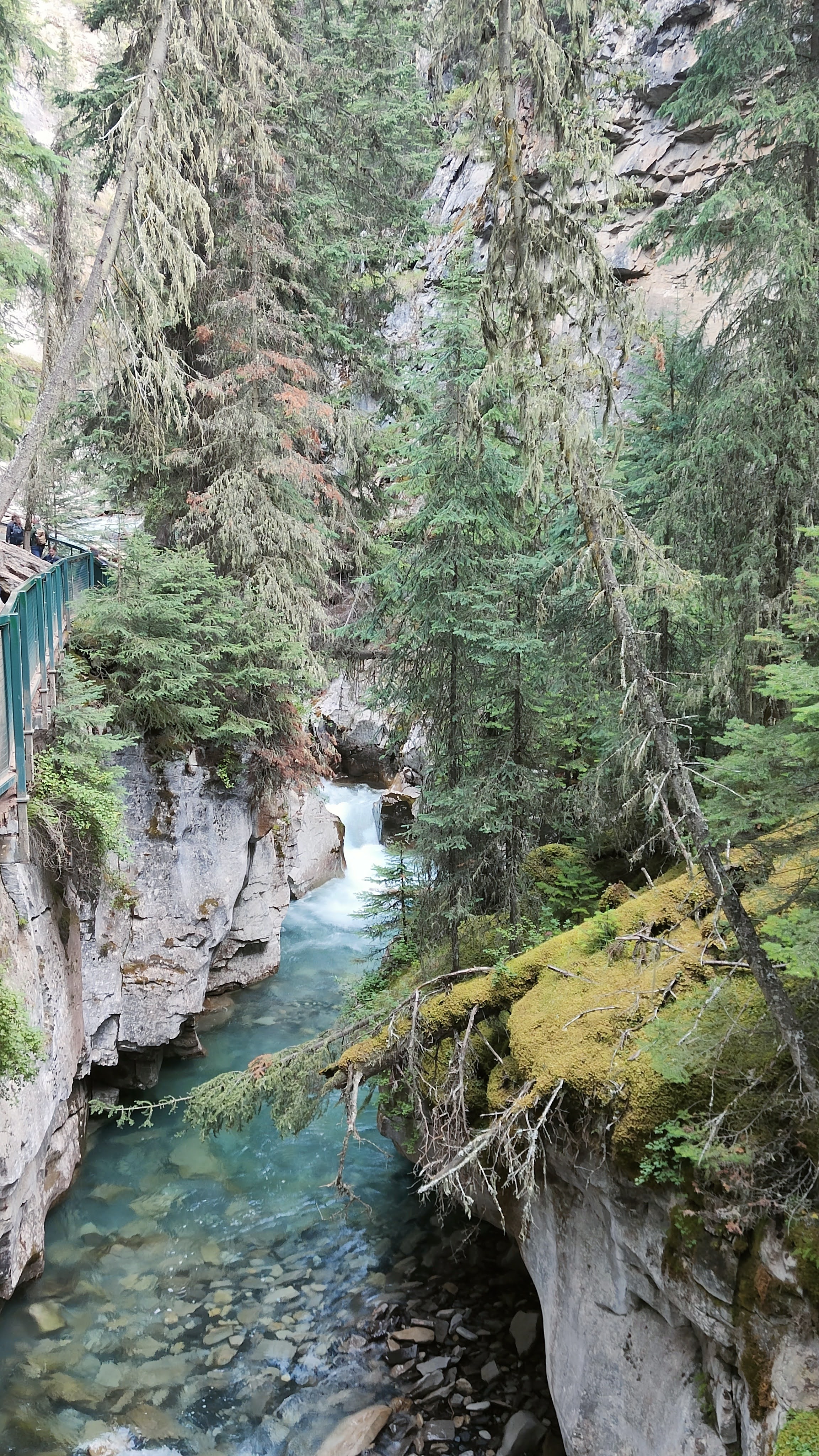 Johnston Canyon