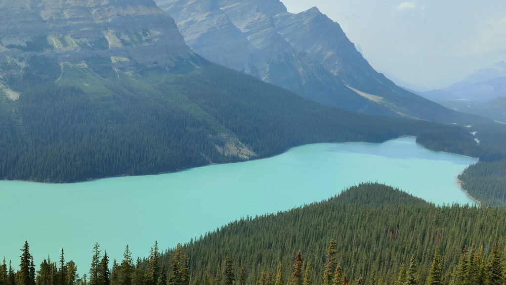 Peyto Lake