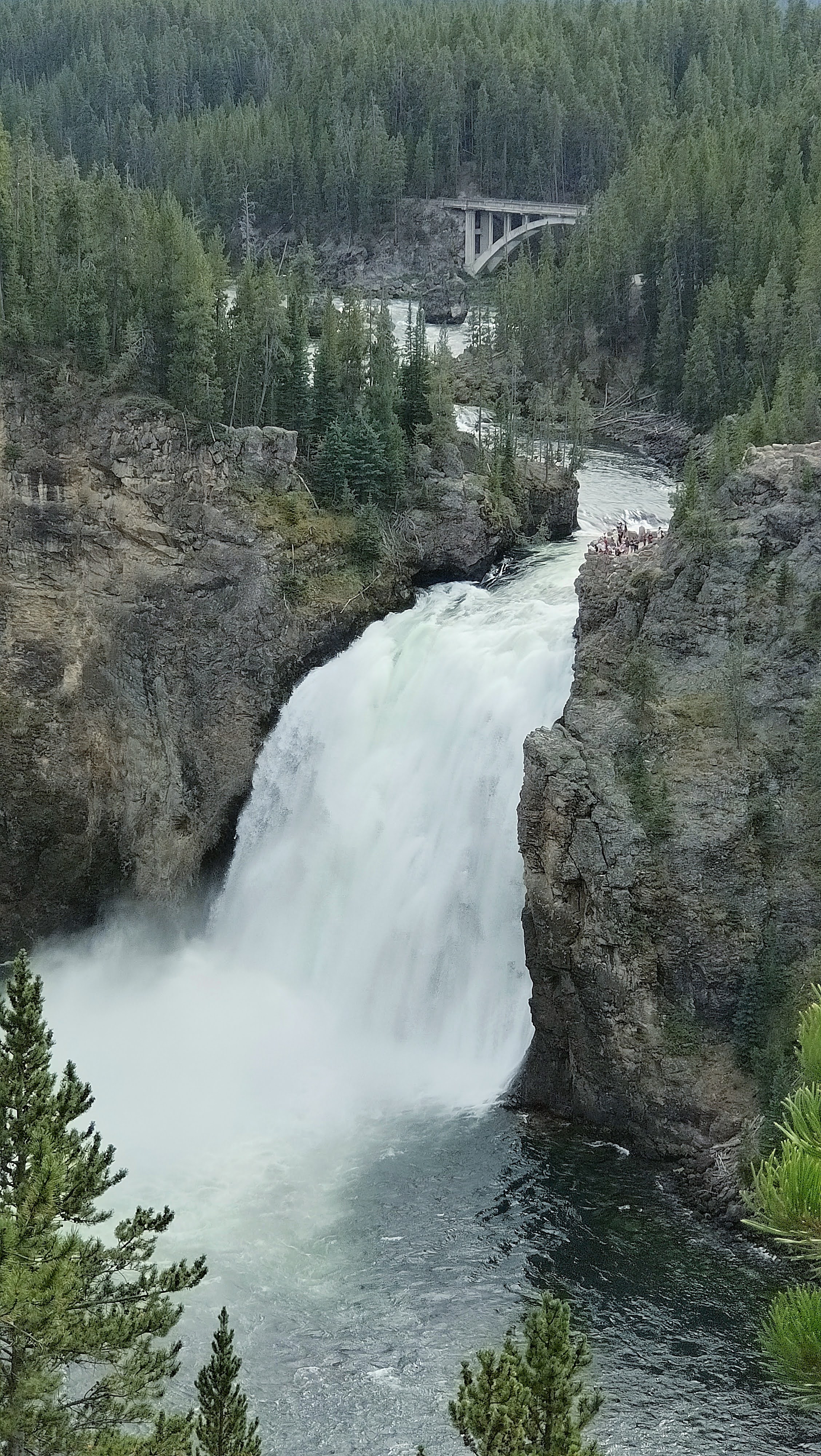 Upper Falls View au Canyon du Yellowstone