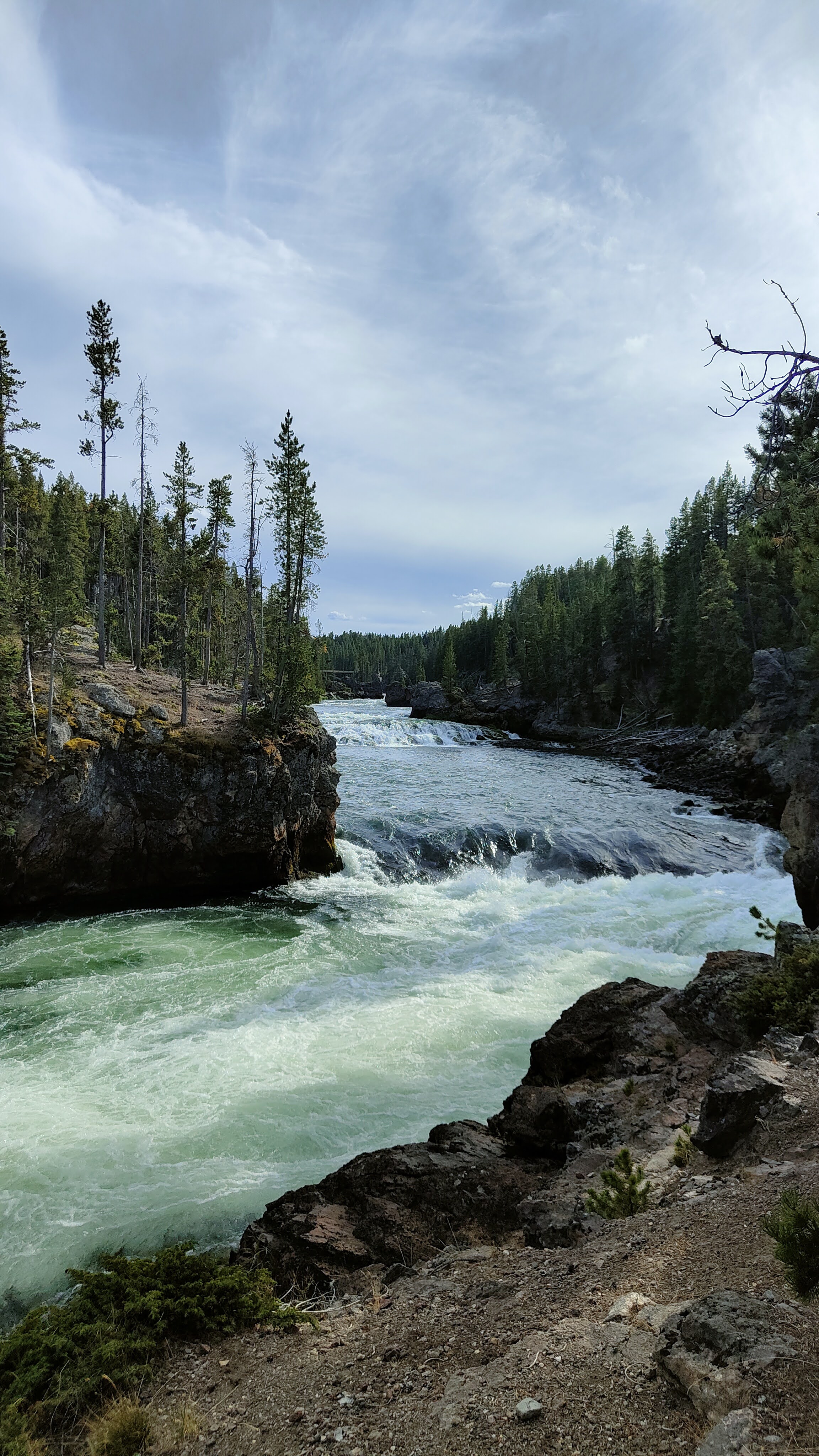 Brink of the Upper Falls au Canyon du Yellowstone