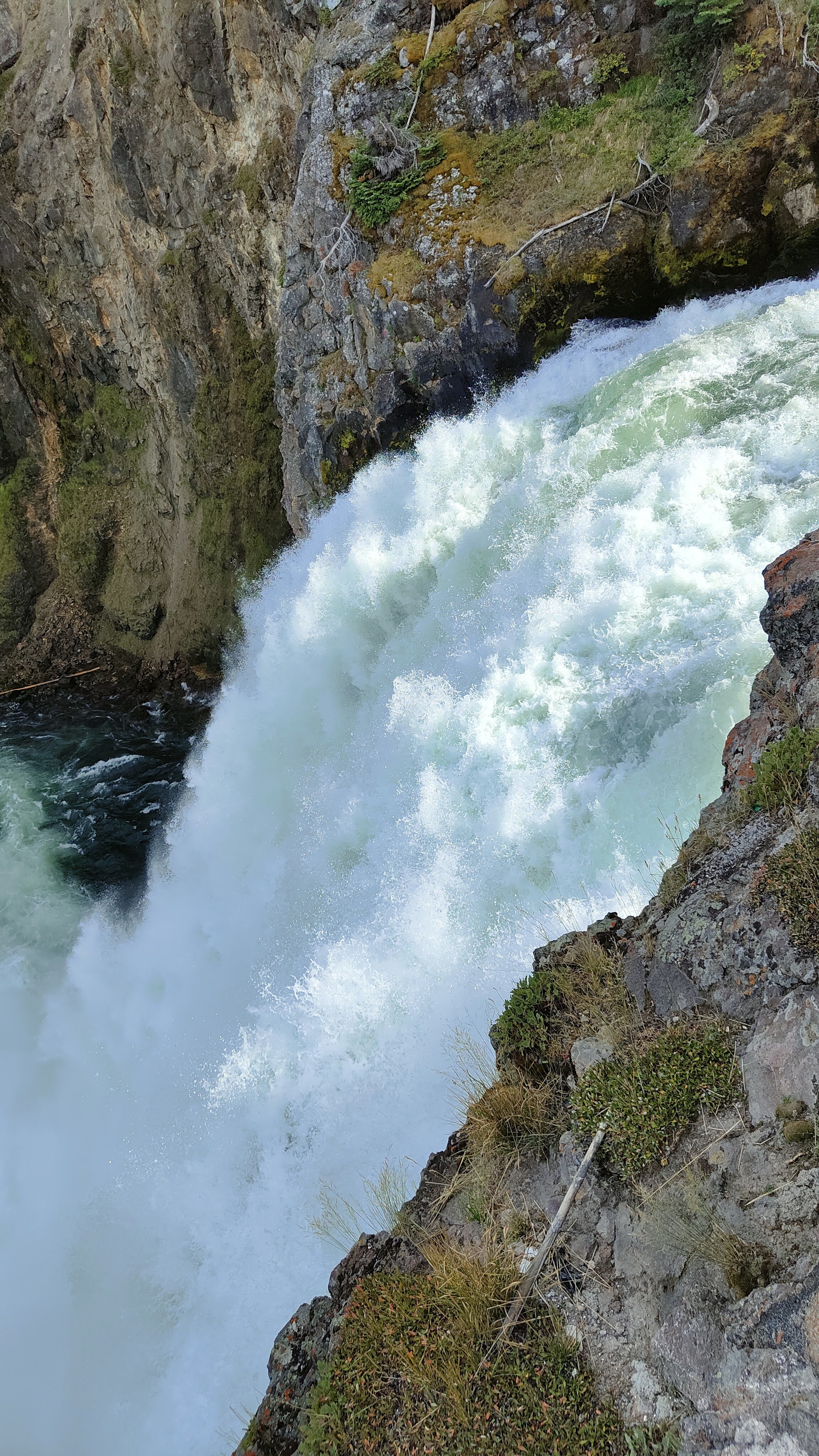 Brink of the Upper Falls au Canyon du Yellowstone