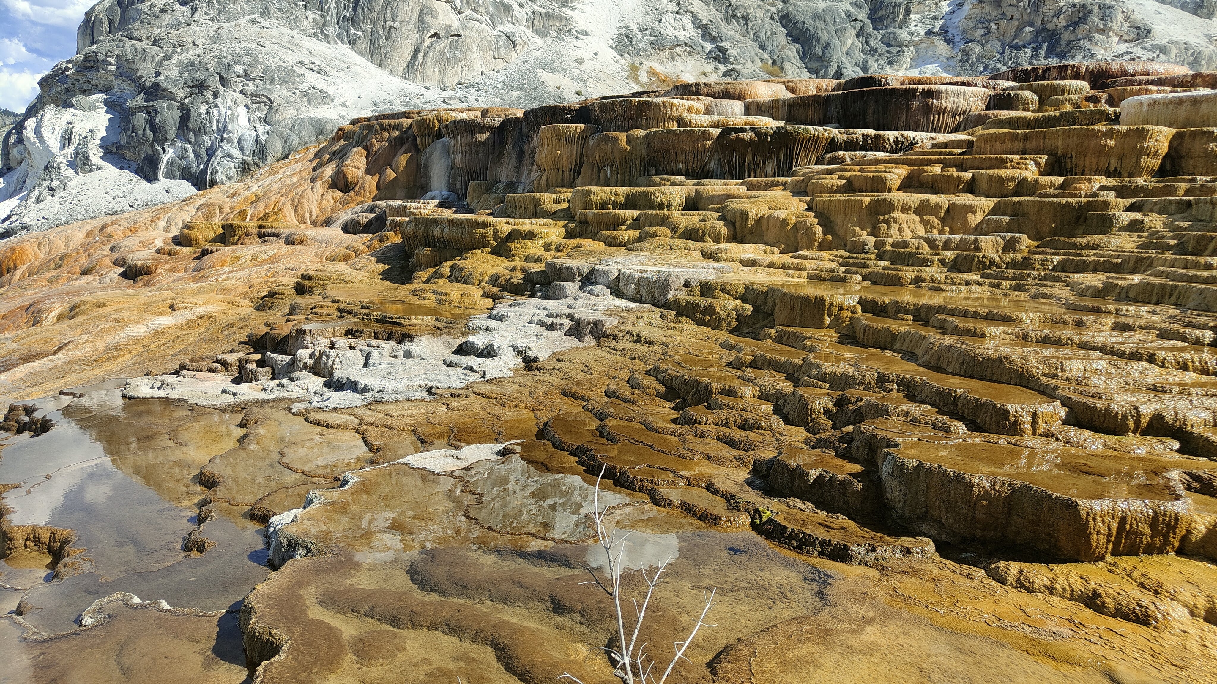 Mammoth Hot Springs
