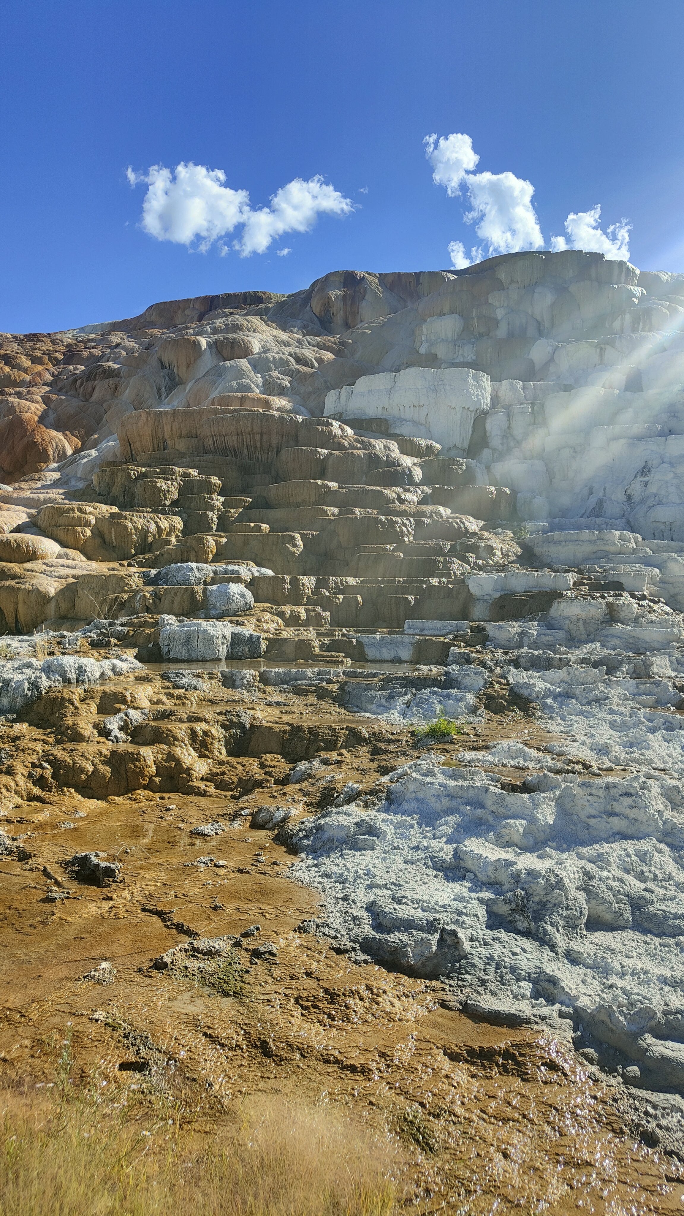Mammoth Hot Springs